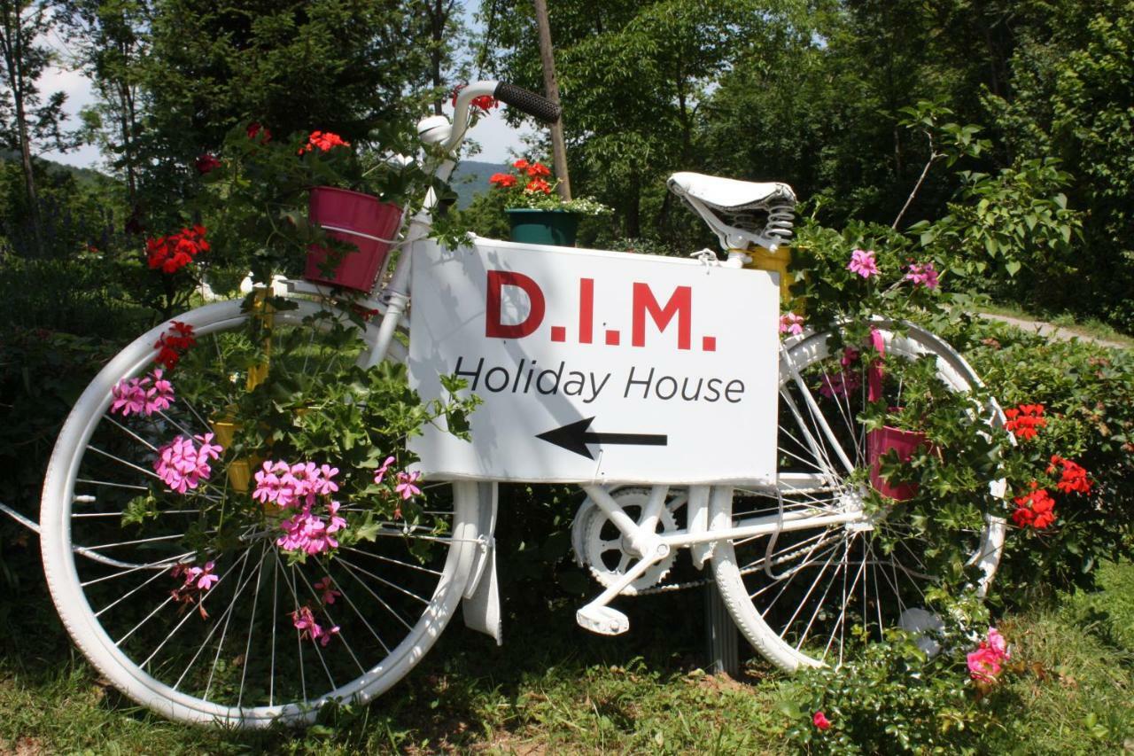 D.I.M. Holiday House セリステ・ドゥレズニツコ エクステリア 写真